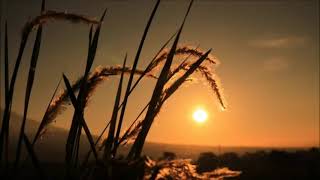 Download lagu kata kata mutiara ustad evie effendi mp3 Download lagu kata kata mutiara ustad evie effendi mp3