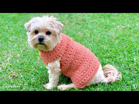 Crossed double crochet stitch dog sweater | Small | Full tutorial | Crochet It