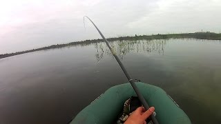 Наживка на карася на удочку видео Наживка на карася на удочку видео