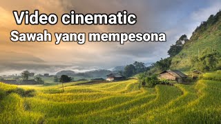 Download lagu Video Cinematic sawah / no copyright mp3