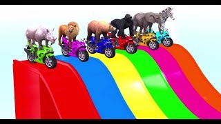 Cartoon Animals Ride on Moter bikes Water Slide For Kids - Learn Wild Animals Names And Sounds