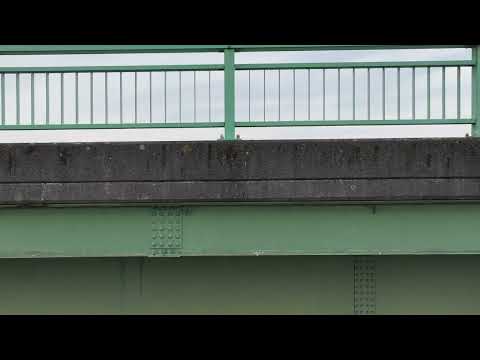 橋梁点検のサンプル動画