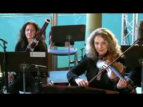 Rimski-Korsakow Hummelflug | Berliner Symphoniker | OverTiere | flight of the bumblebee