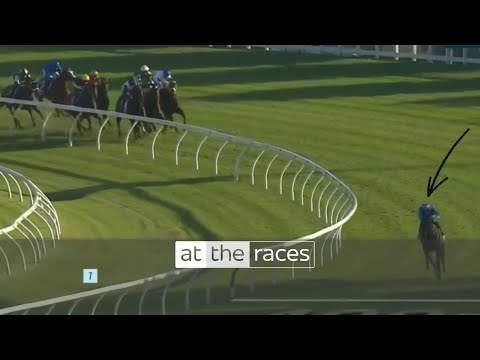 "RUN OF THE CENTURY!" | Pride Of Jenni storms home in the Queen Elizabeth Stakes