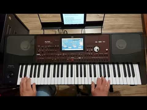 Piotr Szczepanik-Goniąc kormorany cover Łukasz Korg Pa 700