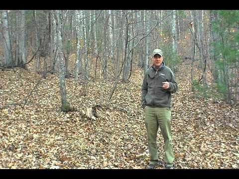 Sasquatch Visits The Greenbrier Sporting Club