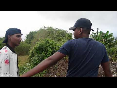 Chimik Chimik Chimik Chimik