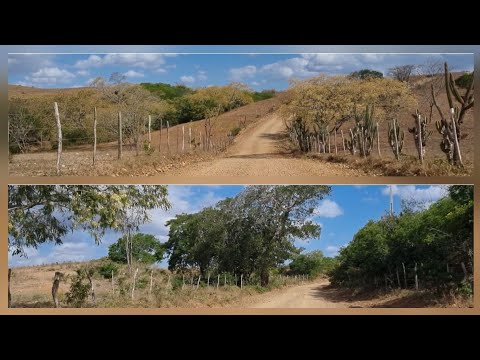 Contemplando o sertão do nordeste Viagem saindo de coronel João sa para paripiranga bahia