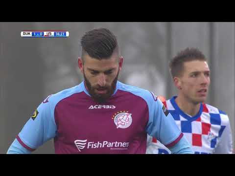 Samenvatting De Dijk - IJsselmeervogels