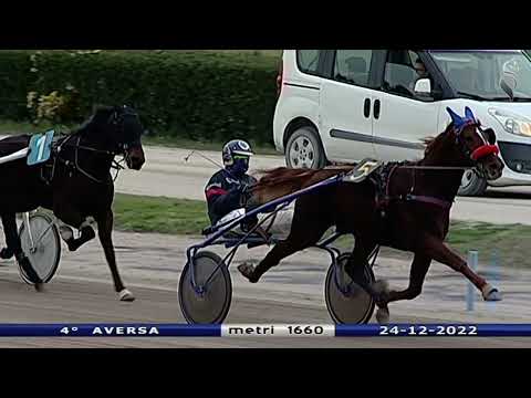 Aversa trotto 24 Dicembre 2022 - 4° Corsa