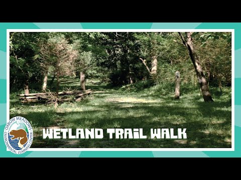 Wetland Trail Walk