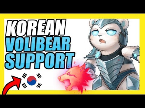 THIS KOREAN VOLIBEAR STRAT HAS 70+% WINRATE IN CHALLENGER! | PREDATOR VOLIBEAR SUPPORT