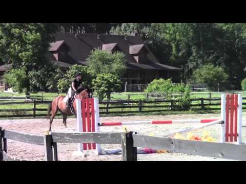 Horse Clinic 6-29-13