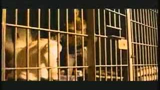 2 Pac - Under Pressure