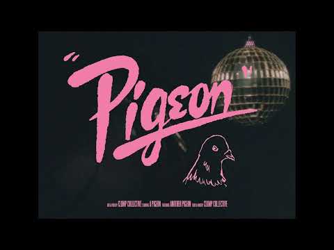 Cloth - Pigeon (Official Video)