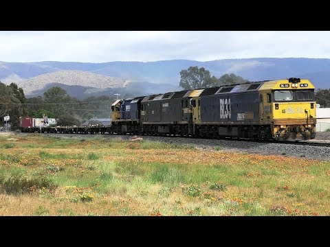 BL33-G523-XR558 on 7901V near Ampitheatre, Avoca, Bung Bong and Dunolly.  19-10-19.