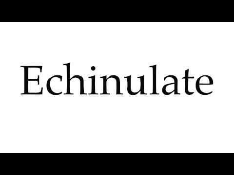 How to Pronounce Echinulate