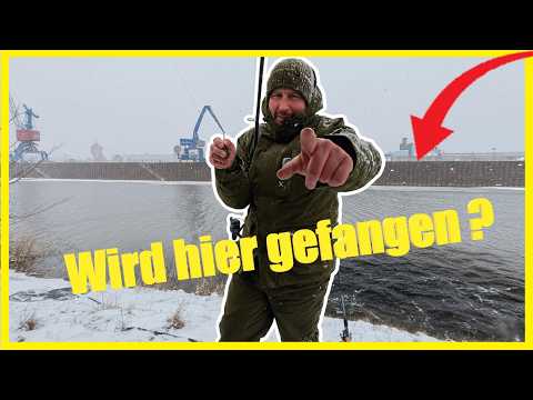 Fishing in the river in winter: Winter strikes ❄️Will the harbor save me?🎣