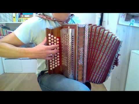 Regenbogenwalzer - Steirische Harmonika #eigenkomposition #volksmusik #walzer #steirische #quetschn