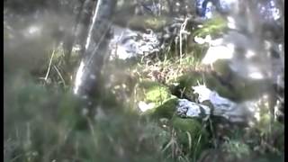 Locomotion et postures 3 - L'ourse Tolosa grimpe, court, escalade...