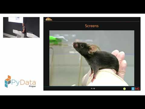 My Data Look Like a Mouse - Karla Fejfarová (PyData Prague #3 2019)