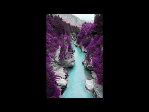 Buljera  Instrumentale me Fizarmonike  ( Sebahate Berlajolli)