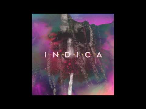 T Dot Steezy - Indica (Prod. Berry Bank$ & Larce Blake)