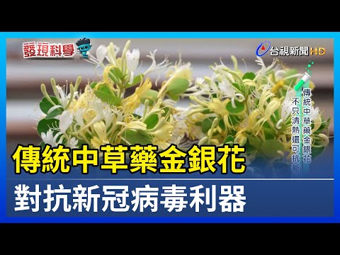 2025/7/23 台視新聞網 傳統中草藥金銀花 對抗新冠病毒利器