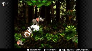 【Switch】SFCドソキーユング通しプレイ その12【SDK1 2 3】