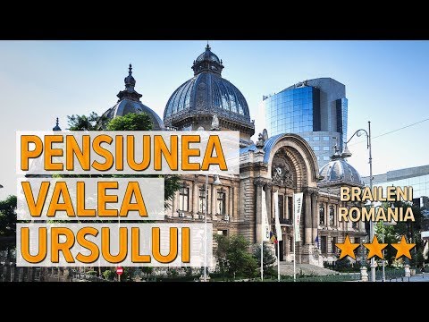 Pensiunea Valea Ursului hotel review | Hotels in Braileni | Romanian Hotels