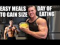 MEALS TO GAIN MUSCLE - OFF-SEASON EATING - FULL BACK TRAINING
