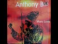 Anthony B - Wrong A Wrong Right A Wrong - 2000 - More Love - TOPDON SELECTIONS