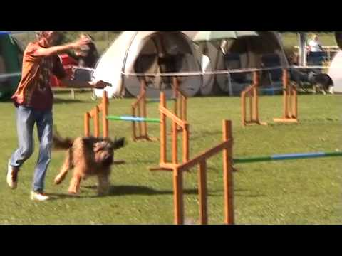 Vidisha 2011-08-14 J2