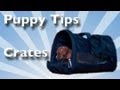 Crate Training Tips for PUPPIES