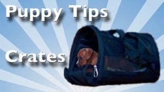 Crate Training Tips for PUPPIES