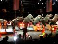Circus Finale With Elephants