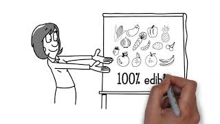 Clesta Whiteboard Animation sample 1