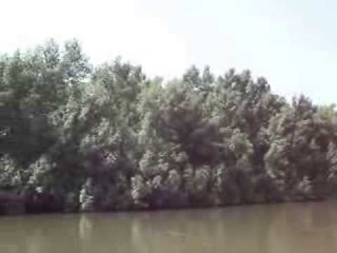 Journey through Jong river