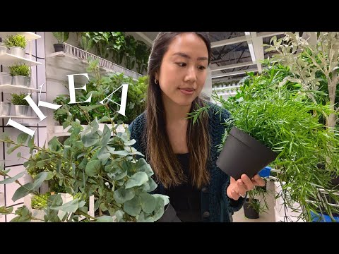 Part of a video titled Which IKEA Fake Plants Look the Most REAL?! Shop w/ Me - YouTube