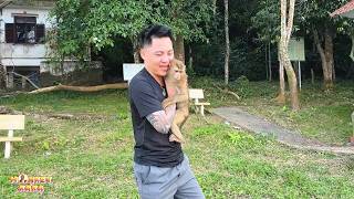 Dad holds Monkey Kaka in a warm embrace after being apart.