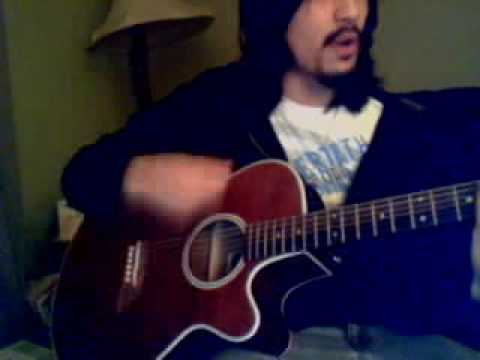 The Stars are Veiled - After the Fall (acoustic version)