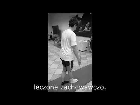 Funkcja mięsień uda ludzkie Słuchać muzyki na trening w kulturystyce siłowni