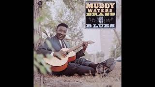 Muddy Waters - Going Back To Memphis