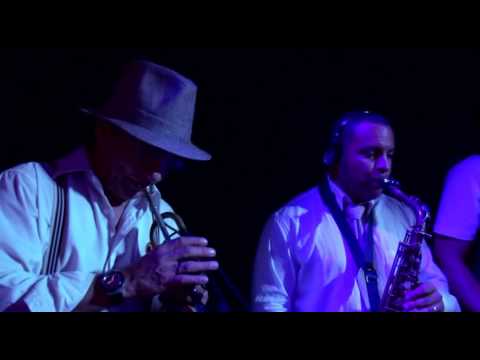 MICHAEL SULLIVAN interpreta Whisky a Go Go (Sullivan/Massadas).