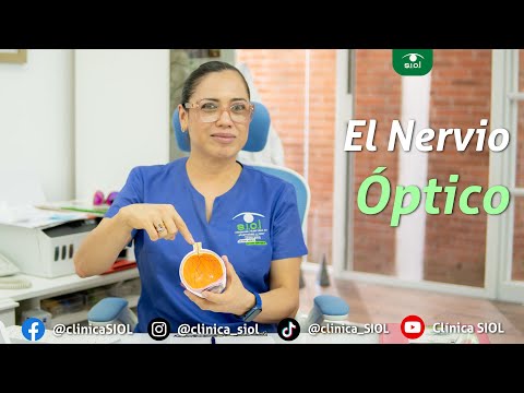 El nervio óptico