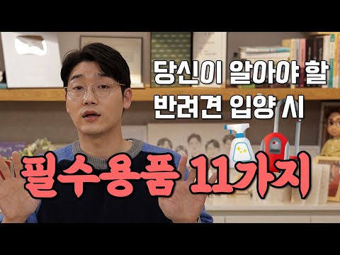 강아지 입양시 챙겨야 할 11가지 준비물