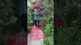 孫建明#china武術 #太極拳 #太極養生 #          初心者向け#