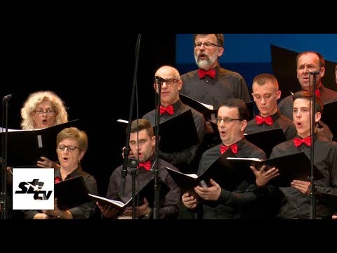 SBTV - DNEVNIK - VELIKI USPJEH BRODSKIH UDRUGA IZ KULTURE  - 07.11.2019.