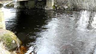 preview picture of video 'nääri küla sild velise jõgi 2010.AVI'