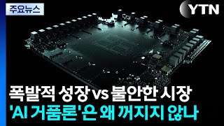 폭발적 성장 vs 불안한 시장...'AI 거품론'은 왜 꺼지지 않나 / YTN